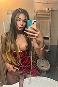  Bari Kelly Melo Pornostar 350.8096697 foto selfie 27
