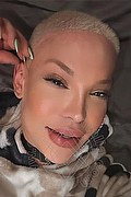  Senigallia Luna Marks Pornostar 334.3717752 foto selfie 11