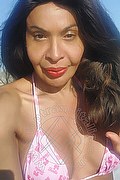 Prato Tainá Oliveira 328.5382487 foto selfie 26