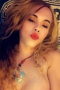  Ponte Chiasso Giseli Dion 328.5360166 foto selfie 5