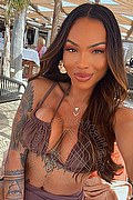  Milano Nauana Lima Pornostar 393.6529793 foto selfie 3