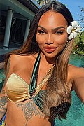  Milano Nauana Lima Pornostar 393.6529793 foto selfie 2