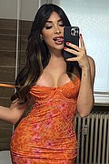 Torino Safina 334.2585465 foto selfie 6