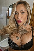  Rimini Alessandra Toledo Pornostar 339.6743933 foto selfie 5