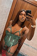 Foto selfie 2 di Paloma TerzaGamba trans Caserta