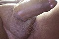  Belo Horizonte Luana Vendramini 0055.31983477439 foto selfie 10