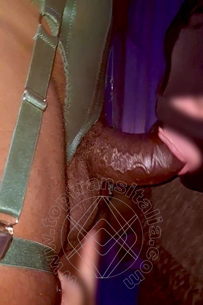Foto selfie hot 2 di Paloma TerzaGamba trans Caserta