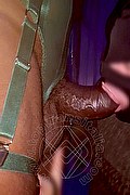 Foto selfie hot 2 di Paloma TerzaGamba trans Caserta