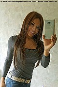  New York Daniela Kosan 001.3132908621 foto selfie 111